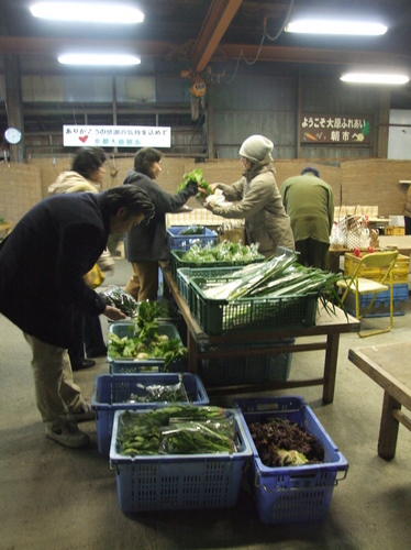 DSCF4845.JPG.JPG