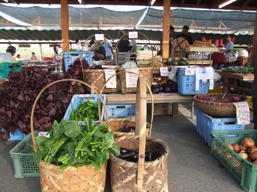 DSCF7840.JPG